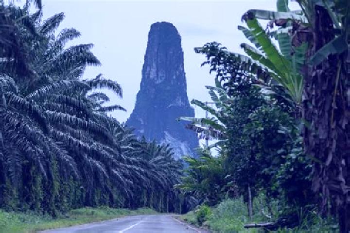 Escorts Pete-Pete, Sao Tome and Principe — Local Companions