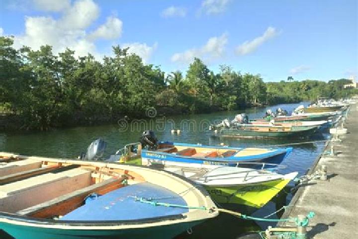 Escorts Petit-Canal, Guadeloupe — Local Companions