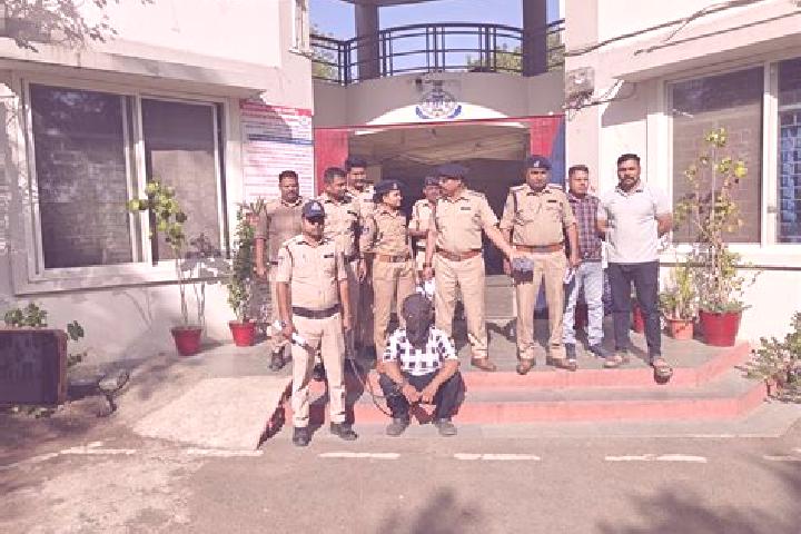 Escorts Petlawad, India — Local Companions