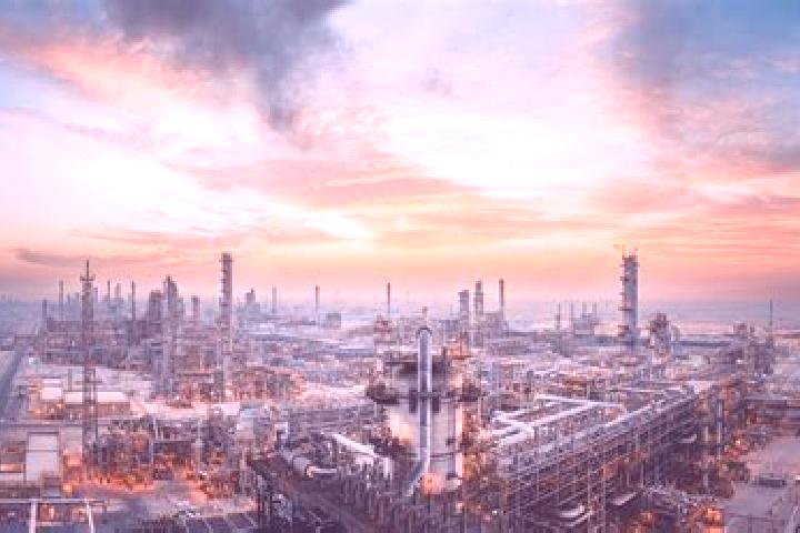 Escorts Petro-Chemical Complex INA, India — Local Companions