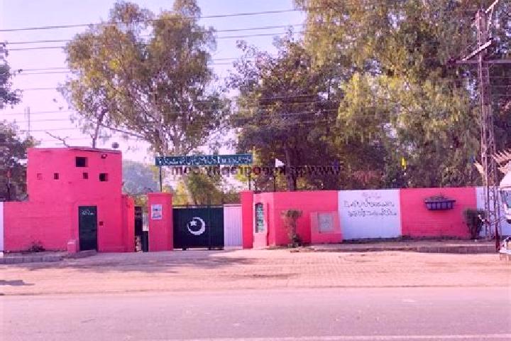 Escorts Phool Nagar, Pakistan — Local Companions