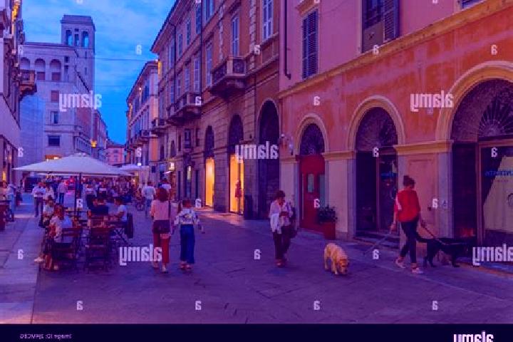 Escorts Piacenza d Adige, Italy — Local Companions