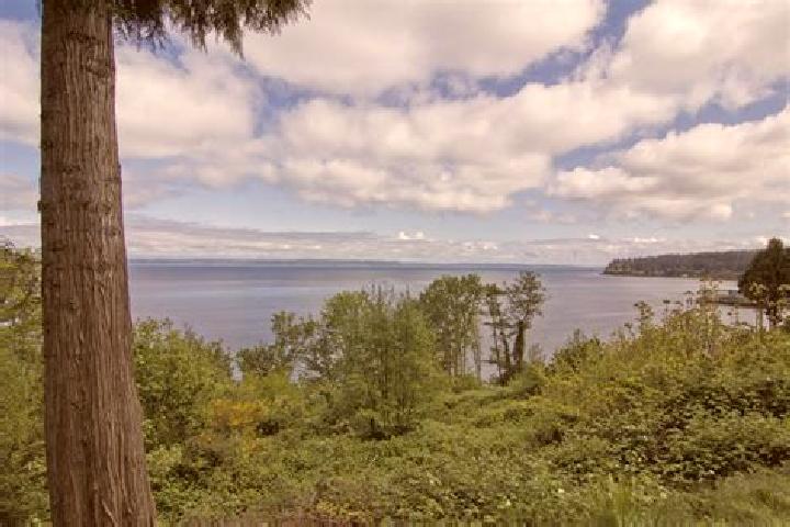 Escorts Picnic Point-North Lynnwood, United States — Local Companions