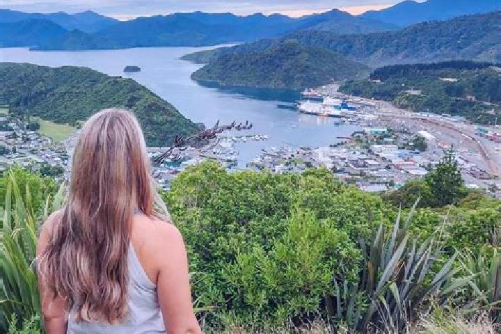 Escorts Picton, New Zealand — Local Companions