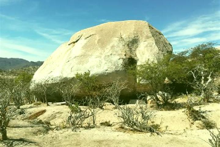 Escorts Piedra Gorda, Mexico — Local Companions