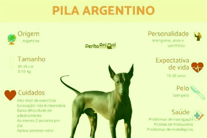 Escorts Pila, Argentina — Local Companions