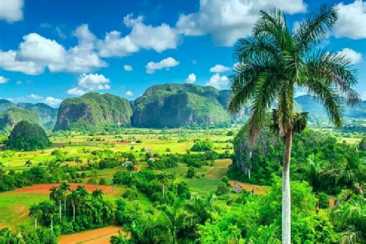 Escorts Pinar del Rio, Cuba — Local Companions