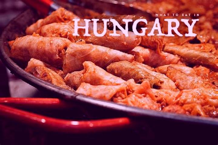 Escorts Pincehely, Hungary — Local Companions