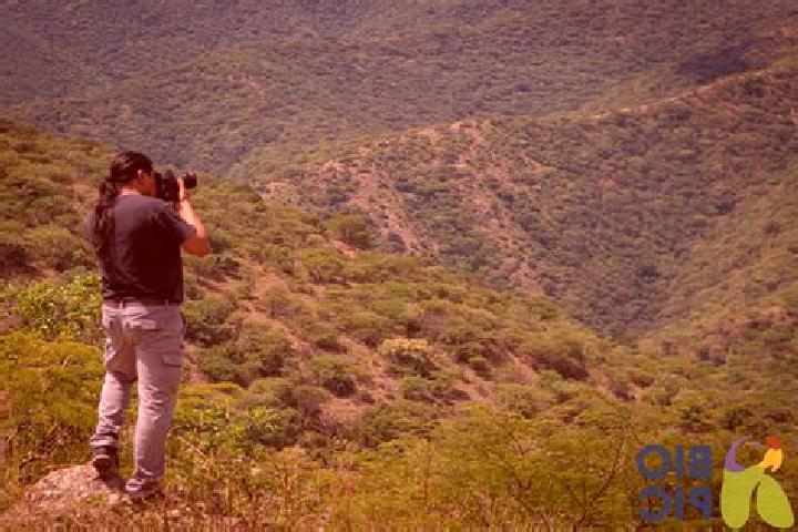 Escorts Pinillo, Mexico — Local Companions