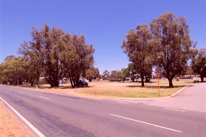 Escorts Pinjarra, Australia — Local Companions