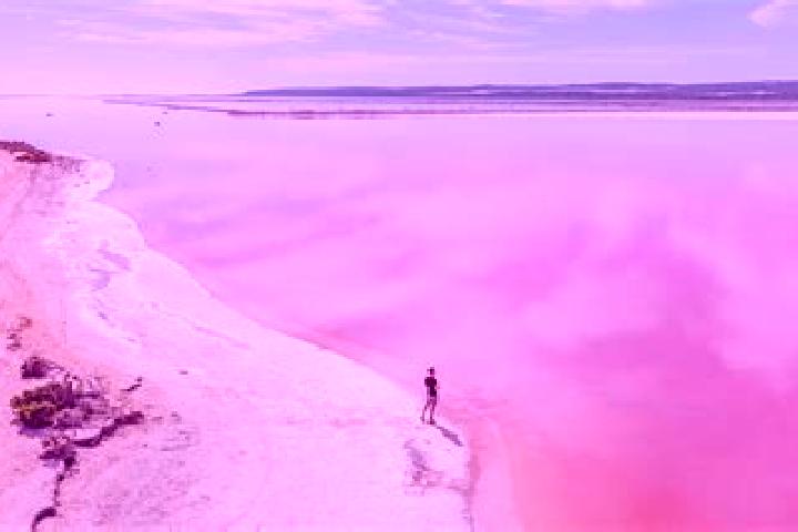 Escorts Pink Lake, Australia — Local Companions