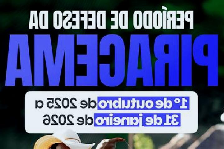 Escorts Piracema, Brazil — Local Companions