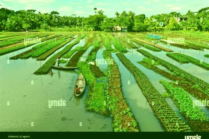 Escorts Pirojpur, Bangladesh — Local Companions
