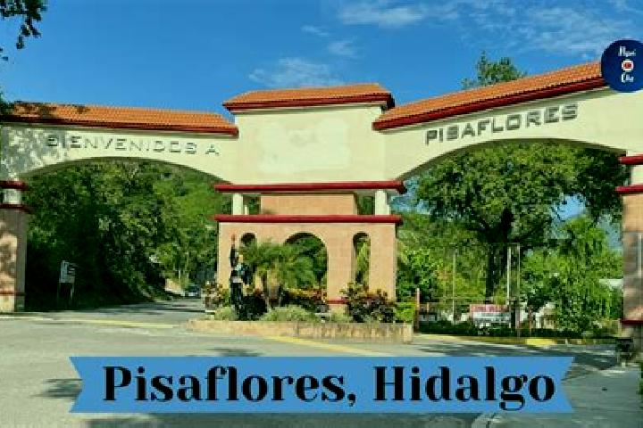 Escorts Pisaflores, Mexico — Local Companions