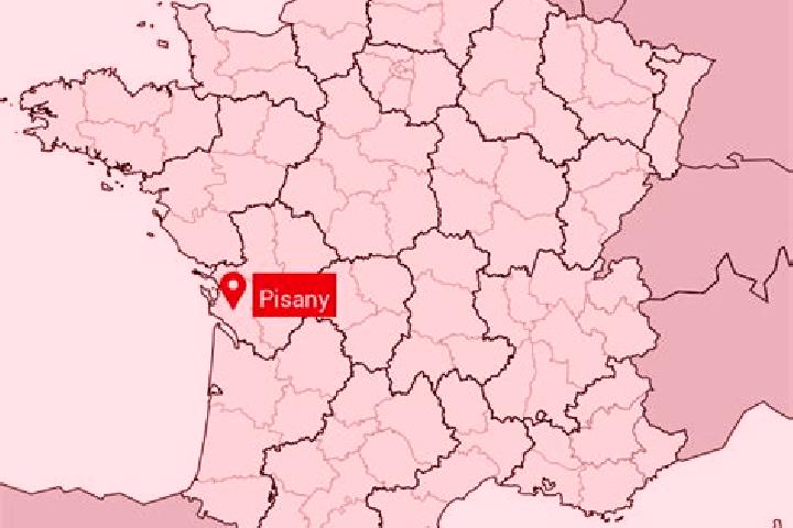 Escorts Pisany, France — Local Companions