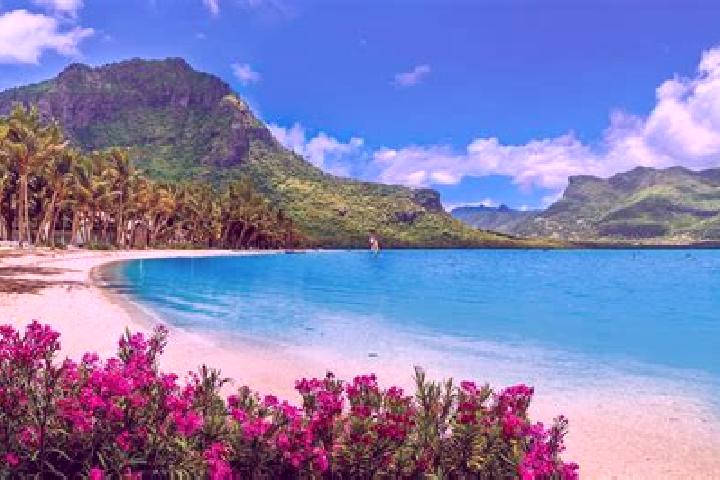 Escorts Plaines des Roches, Mauritius — Local Companions