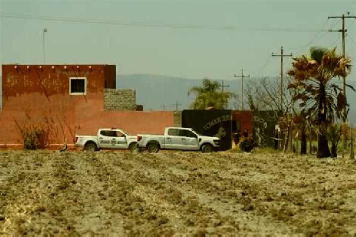 Escorts Plan de los Rodriguez, Mexico — Local Companions