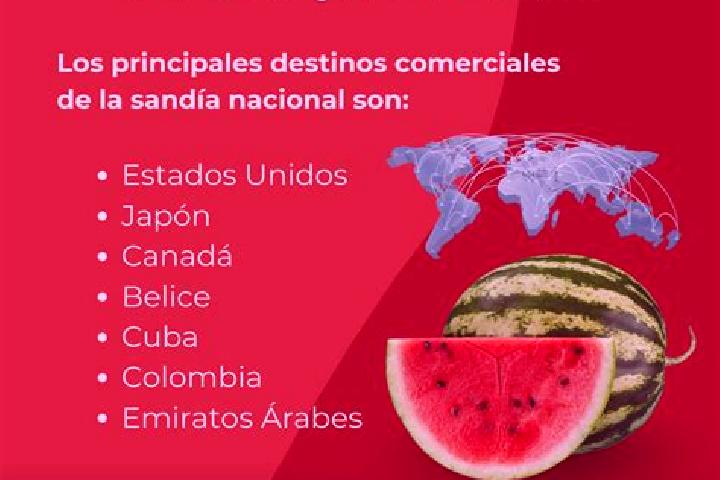 Escorts Plan Guanajuato (La Sandia), Mexico — Local Companions
