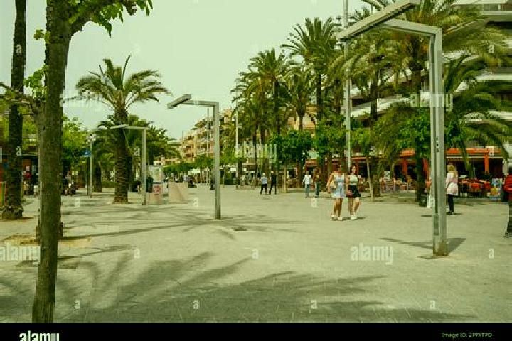 Escorts Platja d Alcudia, Spain — Local Companions