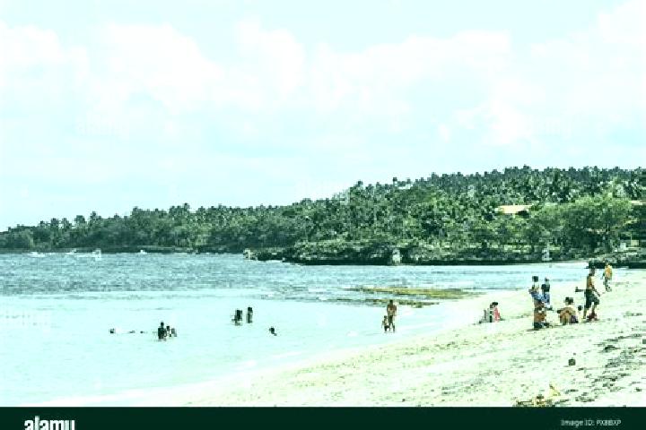 Escorts Playa Baracoa, Cuba — Local Companions
