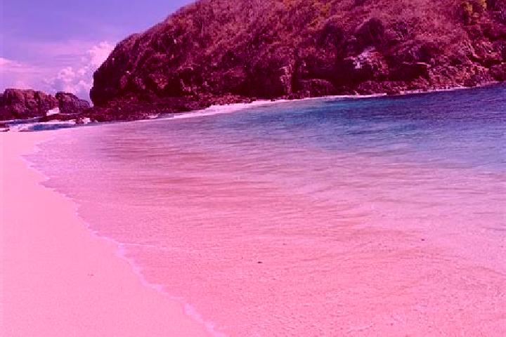 Escorts Playa de Oro, Ecuador — Local Companions
