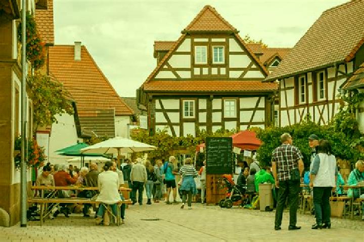 Escorts Pleisweiler-Oberhofen, Germany — Local Companions