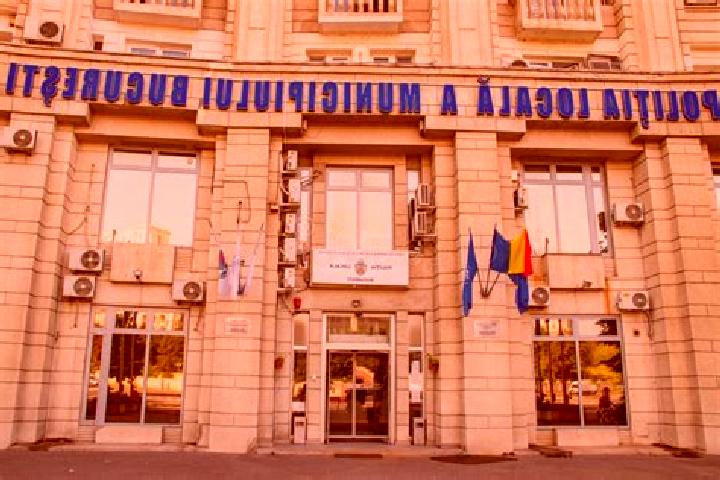 Escorts Plesa, Romania — Local Companions