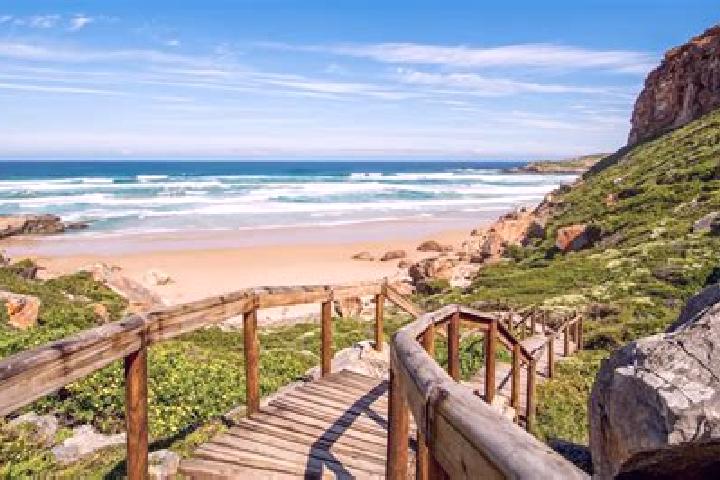 Escorts Plettenberg Bay, South Africa — Local Companions