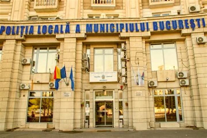 Escorts Plopul, Romania — Local Companions