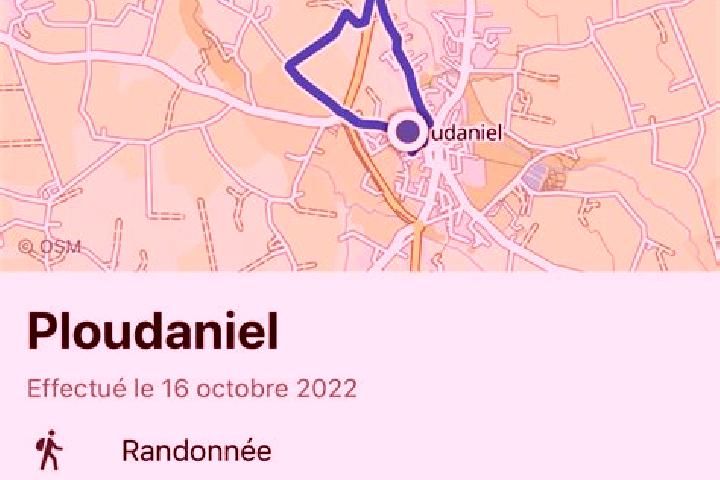 Escorts Ploudaniel, France — Local Companions