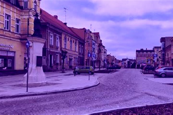 Escorts Pniewy, Poland — Local Companions