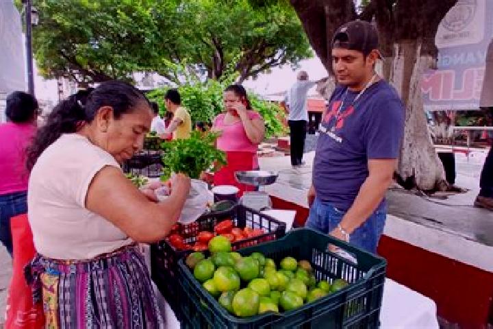 Escorts Pochuta, Guatemala — Local Companions
