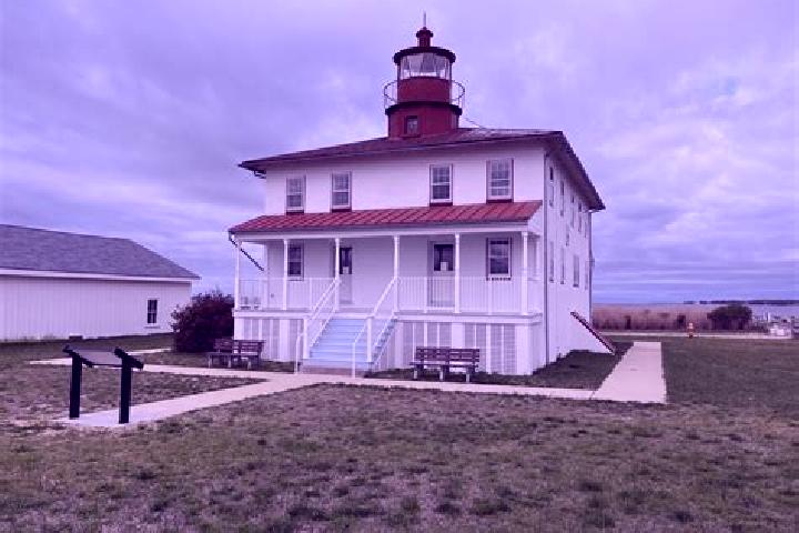 Escorts Point Lookout, United States — Local Companions