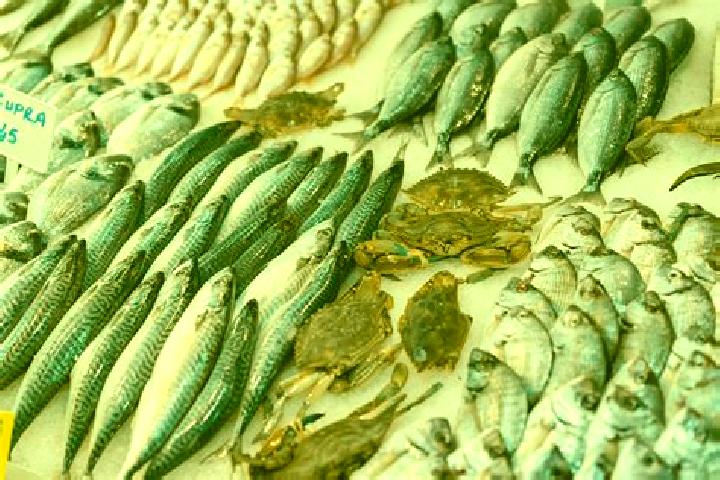 Escorts Poisson, France — Local Companions
