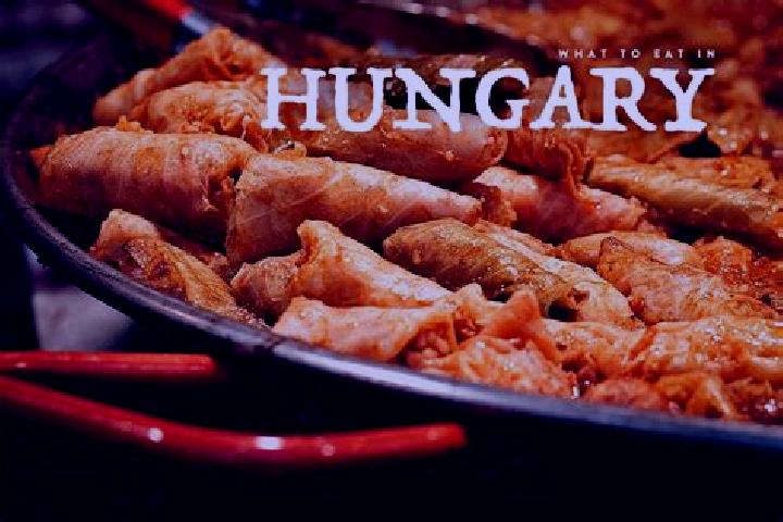 Escorts Polgar, Hungary — Local Companions