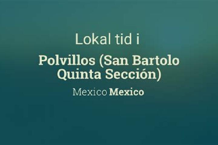 Escorts Polvillos (San Bartolo Quinta Seccion), Mexico — Local Companions