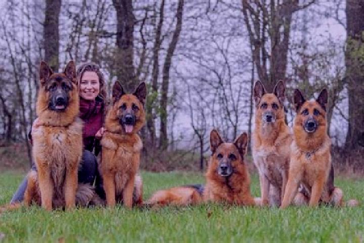 Escorts Pomster, Germany — Local Companions