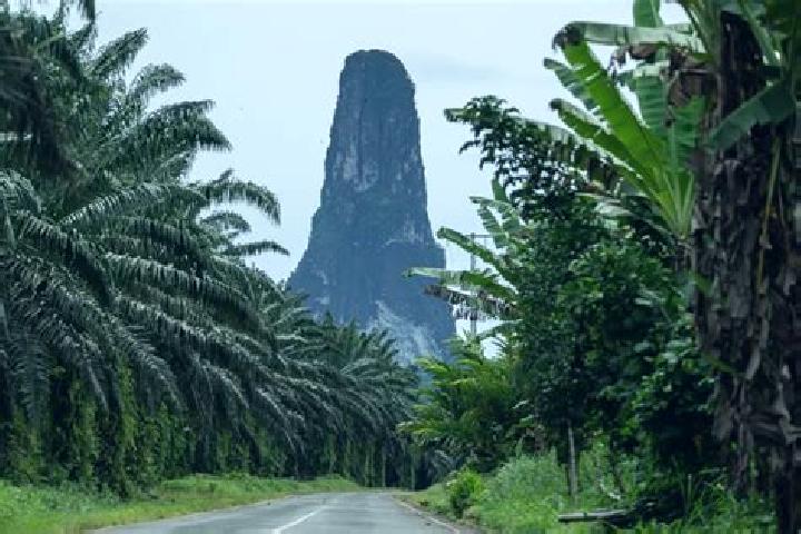 Escorts Ponta Figo, Sao Tome and Principe — Local Companions