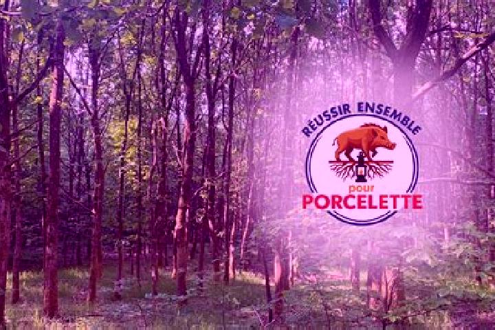 Escorts Porcelette, France — Local Companions