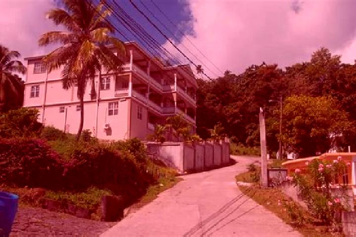 Escorts Portsmouth, Dominica — Local Companions
