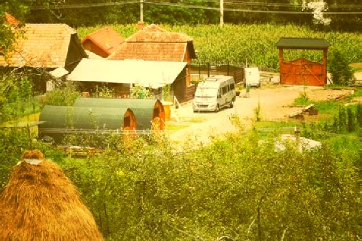 Escorts Posaga de Sus, Romania — Local Companions