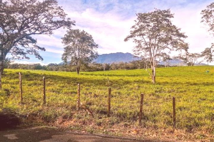 Escorts Potrerillos Arriba, Panama — Local Companions