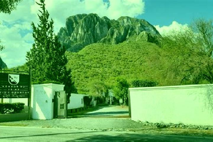 Escorts Potrero Nuevo, Mexico — Local Companions