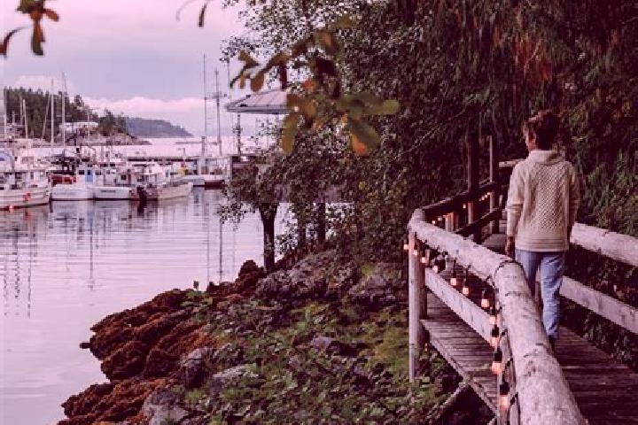Escorts Powell River, Canada — Local Companions