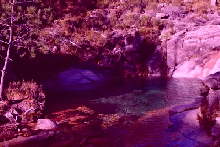 Escorts Pozo Azul, Argentina — Local Companions