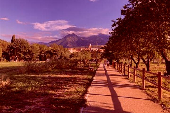 Escorts Prades, France — Local Companions
