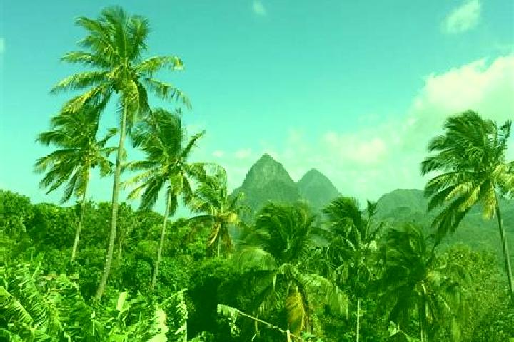 Escorts Praslin, Saint Lucia — Local Companions