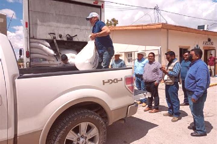 Escorts Praxedis G. Guerrero Nuevo (La Loma), Mexico — Local Companions
