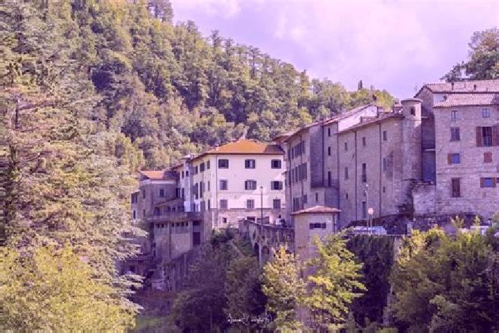 Escorts Premilcuore, Italy — Local Companions