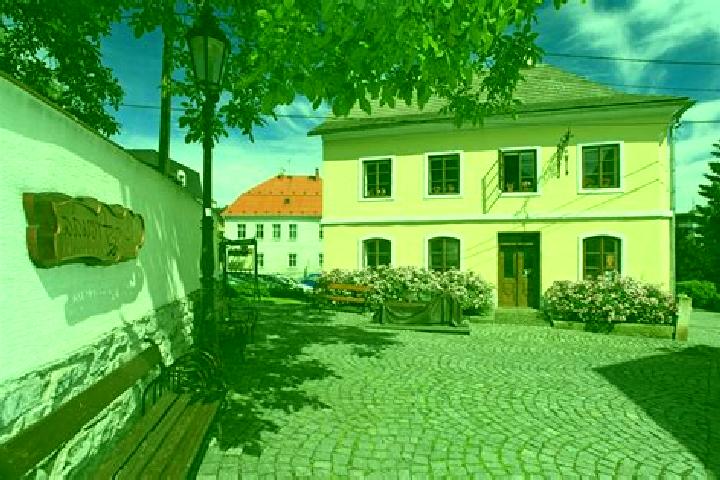 Escorts Pribor, Czech Republic — Local Companions